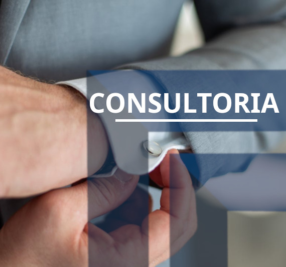 consultoria3